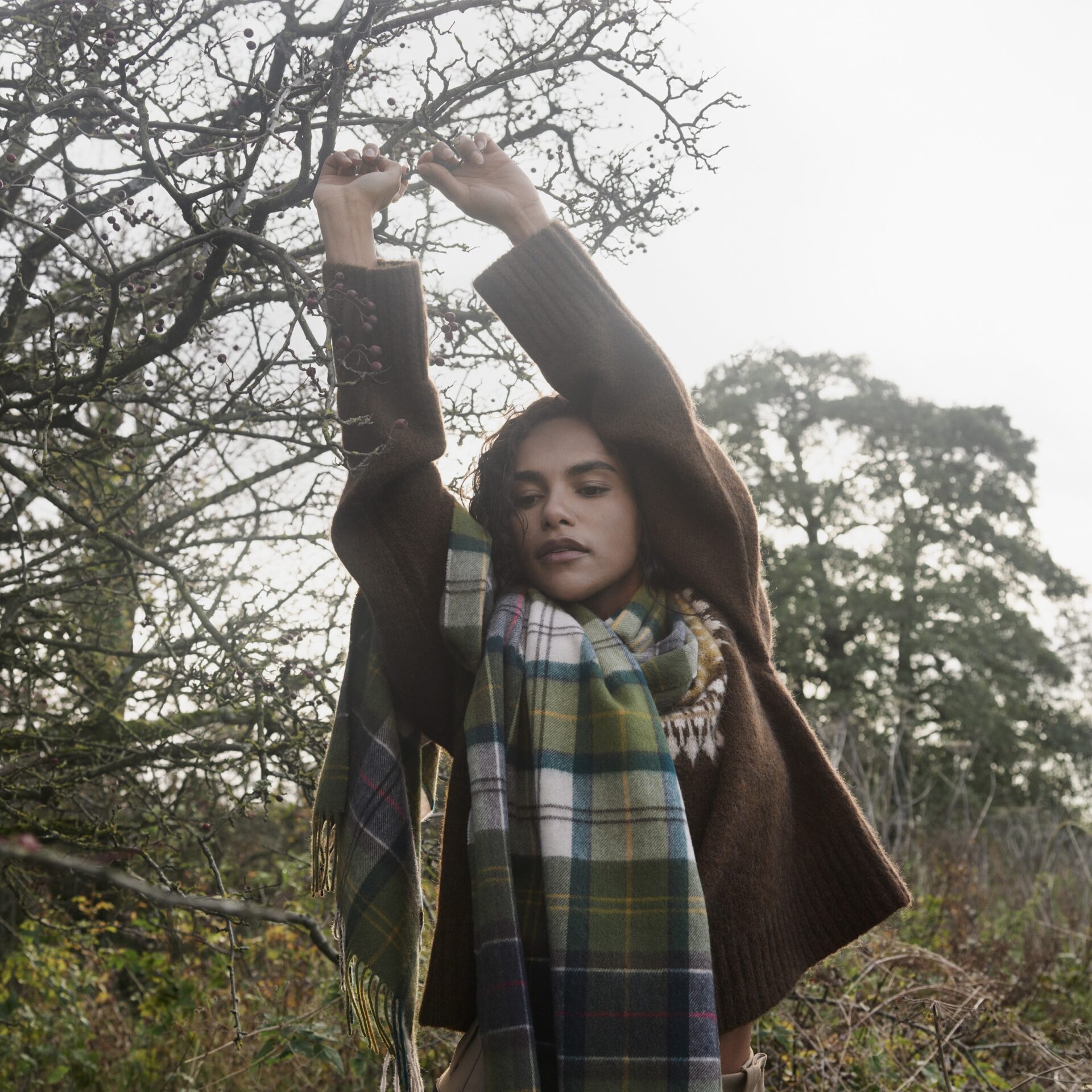 Aryshire- Barbour Hailestartan Scarf