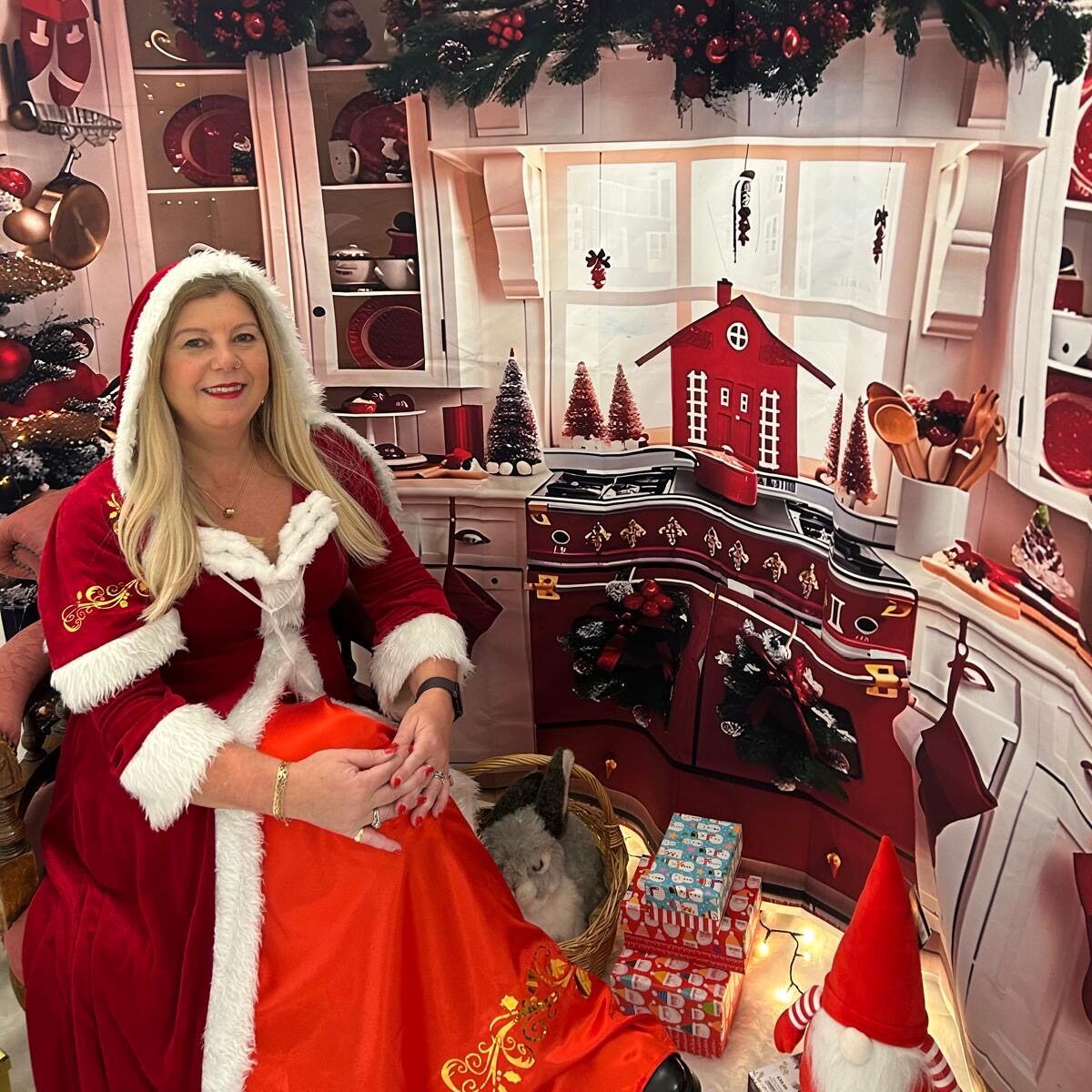 Mrs.Claus Grotto